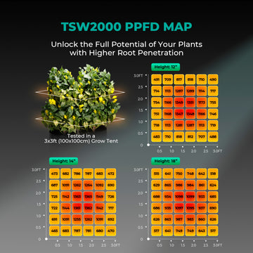 Mars Hydro TSW 2000 300W LED à spectre complet élèvent la lumière pour la culture hydroponique intérieure tente boîte Veg Bloom